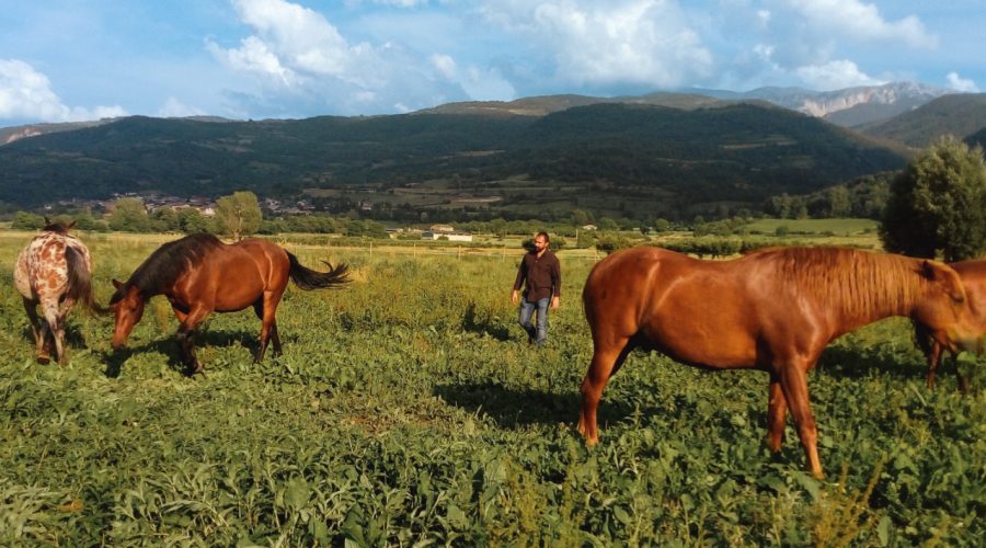 Equinoteràpia Equànima, un coaching diferent per ser feliç.