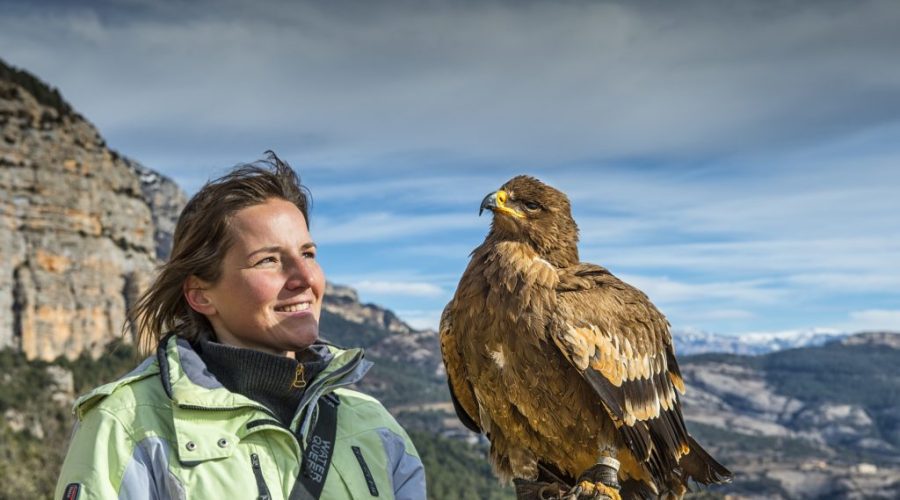 Zoo del Pirineu, una finestra a la fauna salvatge del territori!