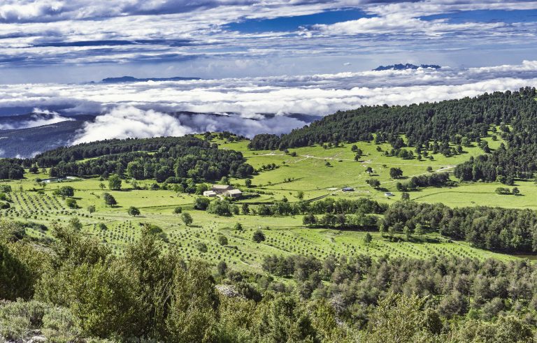 Foto guayadura Solsonès 2023