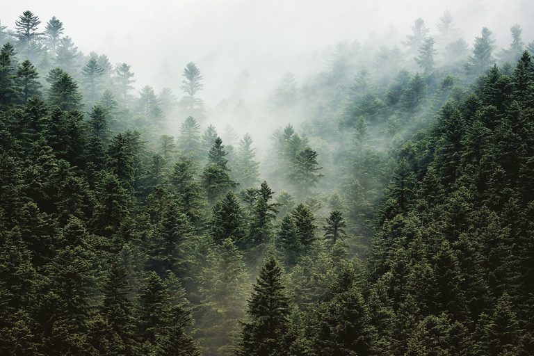 Foto guayadura Pallars Sobirà 2023